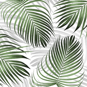 热带树叶图案背景夏季横幅