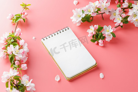 粉红色背景上盛开的春天樱花，带有记事本空间，用于问候信息。