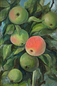 树枝上的野苹果，油画