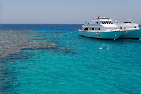 热带海中美丽的阳光海景野生动物园潜水船