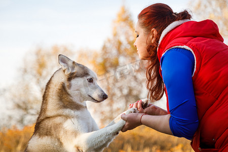 饲养员摄影照片_狗饲养员在秋天的森林里和她的哈士奇狗说话