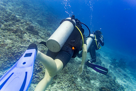 两名潜水员在珊瑚礁的热带海域潜水