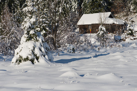 荒野中覆盖着新雪的小木屋
