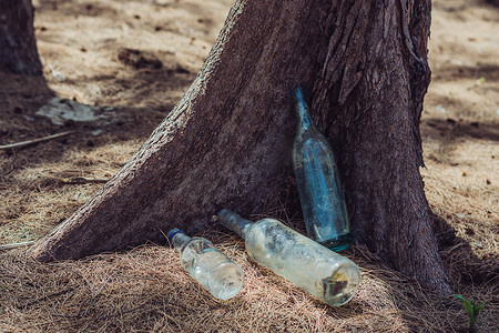 在树林自然公园附近的地面上填埋旧脏透明废弃的空玻璃酒精饮料瓶垃圾。