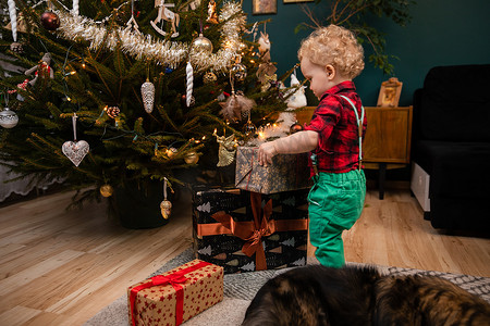 一个两岁的小男孩在圣诞节提着一个礼物包。