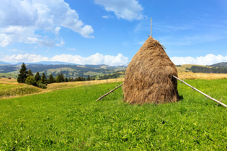喀尔巴阡山脉的干草堆在山丘背景下的绿色草地上。
