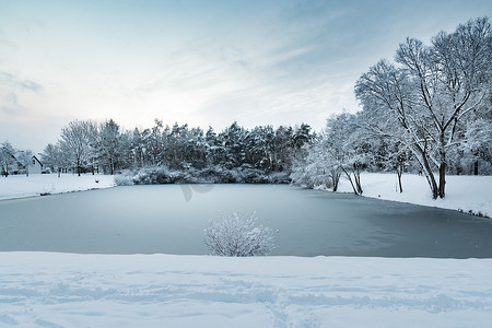 格恩林登村树木和大雪池塘的图像