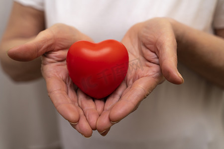 手捧红心、医疗保健、爱、器官捐赠、正念、幸福、家庭保险和 CSR 概念、世界心脏日、世界卫生日、国家器官捐赠日