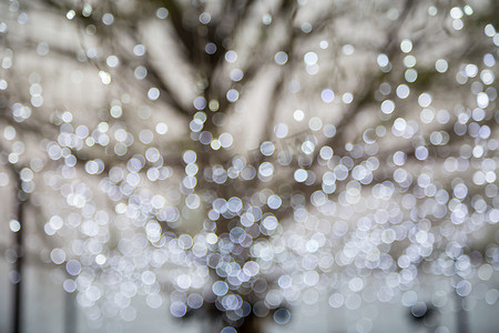 冬树和闪光散景灯的抽象照片
