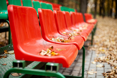秋天落叶中空荡荡的体育看台。
