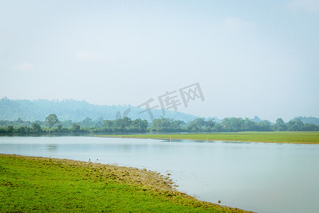 印度阿萨姆邦卡齐兰加国家公园内景。