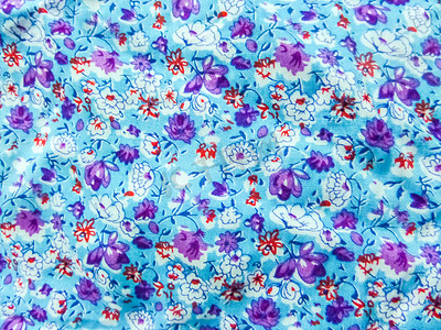婴儿布和器皿花植物蓝色背景上的艺术