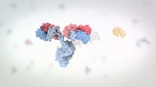 水火对抗摄影照片_抗体是免疫系统产生的对抗感染的蛋白质。