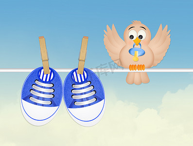 鸟和婴儿鞋