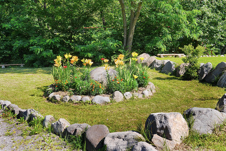 公园里石头覆盖的草坪上生长着淡黄色的花朵，精致