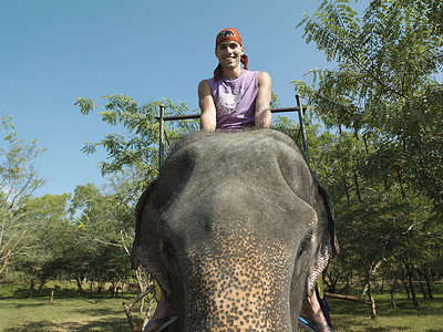 骑着的大象摄影照片_背景中骑大象微笑树的年轻人肖像