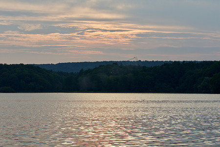 夕阳下的湖泊和森林的美丽图片