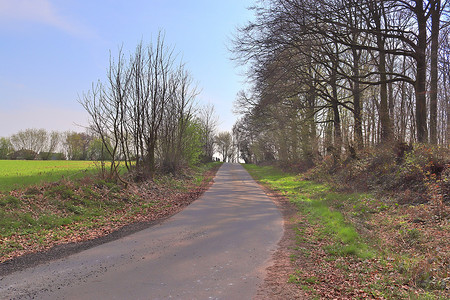 乡村道路上的美丽景色，也没有田野和树木