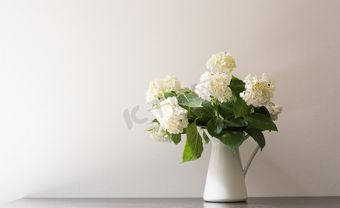 白墙黑桌上壶中的白绣球花（选择性聚焦）