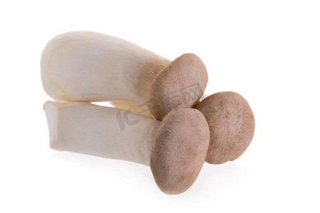 起源摄影照片_白色背景中的新鲜原产地蘑菇