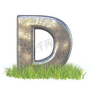 草 3D 中的镀锌金属字体字母 D