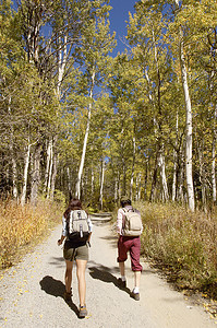 两名女性徒步旅行者在林地小路上行走的全长后视图