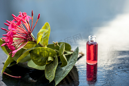黄色五角星边框摄影照片_木质表面上的红色五角花或埃及星花或茉莉花，其提取的有益花香精或精油装在小透明玻璃瓶中。