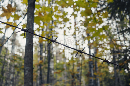 森林里旧生锈的铁丝网特写