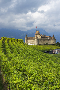 城堡 Chateau dAigle 位于瑞士沃州