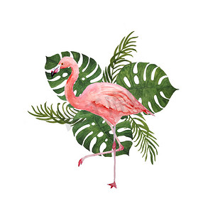 手绘海滩背景元素摄影照片_水彩手绘插图，背景为粉红色火烈鸟和热带绿色龟背竹棕榈丛林叶。