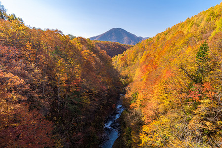 中津川 福岛 秋天