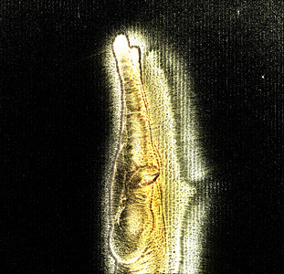 闪闪发光的金元宝摄影照片_带有 kirlian au 的发光人类女性手的 3D 插图
