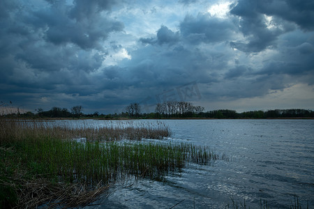 蓝色芦苇摄影照片_在有芦苇的湖的多云天空