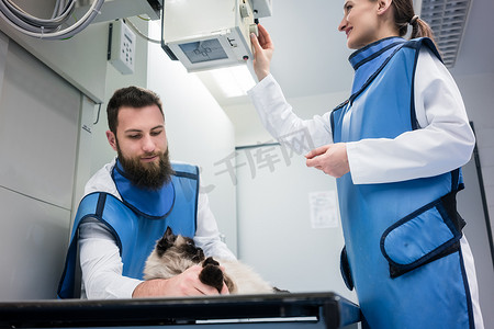 护士台摄影照片_兽医在有猫的 X 光室里