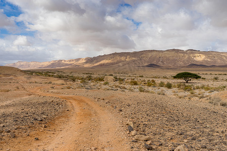 以色列摄影照片_在内盖夫戏剧性的石沙漠徒步旅行，以色列