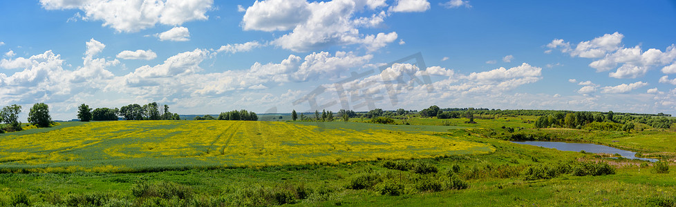 黄色花朵、田野、草地、湖泊和绿树的草原全景。