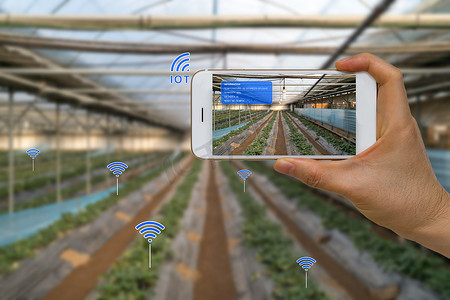 利用物联网、物联网的智能农业农业概念，