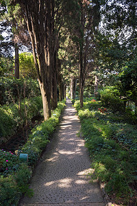 卡普里岛圣米歇尔别墅公共花园的小巷