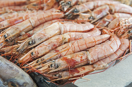 海鲜餐厅展示的虾系列