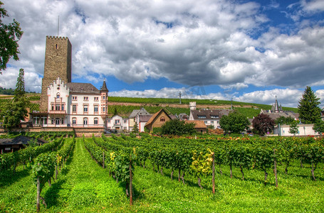 德国黑森州吕德斯海姆中世纪城堡要塞布森堡附近的葡萄园