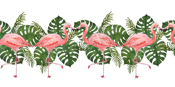 水彩手绘无缝水平边框，背景为粉红色火烈鸟和热带绿色龟背竹棕榈丛林叶。