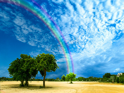 上帝保佑公园里的彩虹和天空树