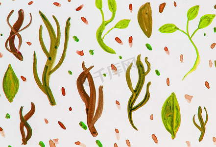写意树枝摄影照片_植物元素水彩插图集 — 白色背景上的棕色、黄色、绿色植物草、树叶、树枝