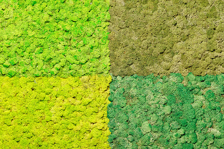 明亮的现场面板由各种绿色色调的斯堪的纳维亚稳定苔藓制成，墙面装饰有环保绿色植物。