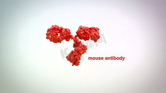 水火对抗摄影照片_抗体是免疫系统产生的用于对抗感染的蛋白质。