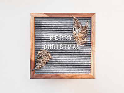 带有圣诞快乐问候和明亮装饰蕨叶的信纸板。