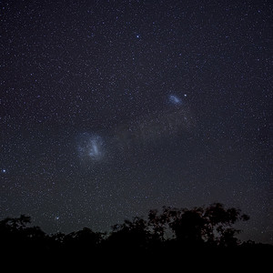 星座剪影摄影照片_南半球夜空中树木剪影上方的麦哲伦云