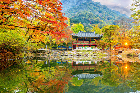 防城港江山半岛摄影照片_秋天的白羊寺，韩国内藏山公园。