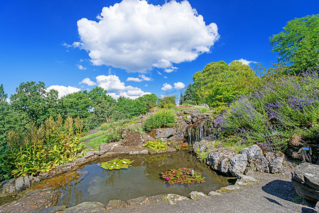 奥斯陆城市公园有瀑布和鲜花的装饰池塘