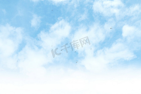 飞翔蜻蜓摄影照片_蜻蜓在美丽晴朗的天空背景上飞翔